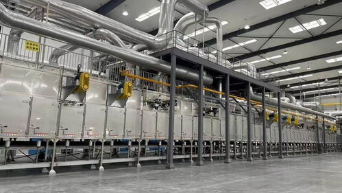 软件开发驱动智能化转型，安徽食品行业迎来首个国家级卓越智能工厂